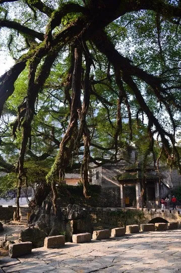 博皓游記 | 夏風(fēng)微醺的綺夢(mèng)，領(lǐng)略賀州黃姚古鎮(zhèn)、姑婆山閑憩之美-12