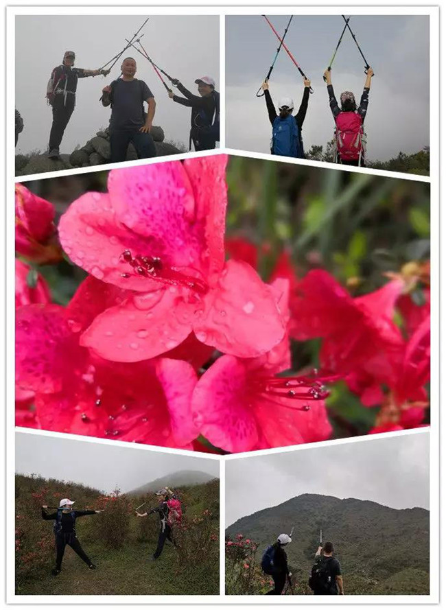 3月29日，云浮新興縣登天麓山&賞杜鵑花
