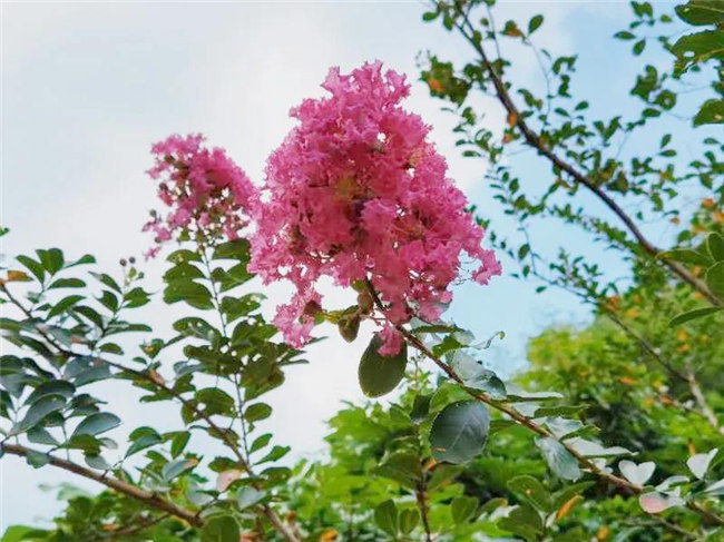 呼吸鮮氧，踐行公益——廣東博皓公益活動(dòng)：星溪線公益環(huán)保活動(dòng)   -5