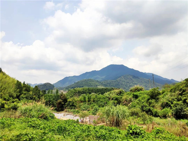 呼吸鮮氧，踐行公益——廣東博皓公益活動(dòng)：星溪線公益環(huán)?；顒?dòng)   -6