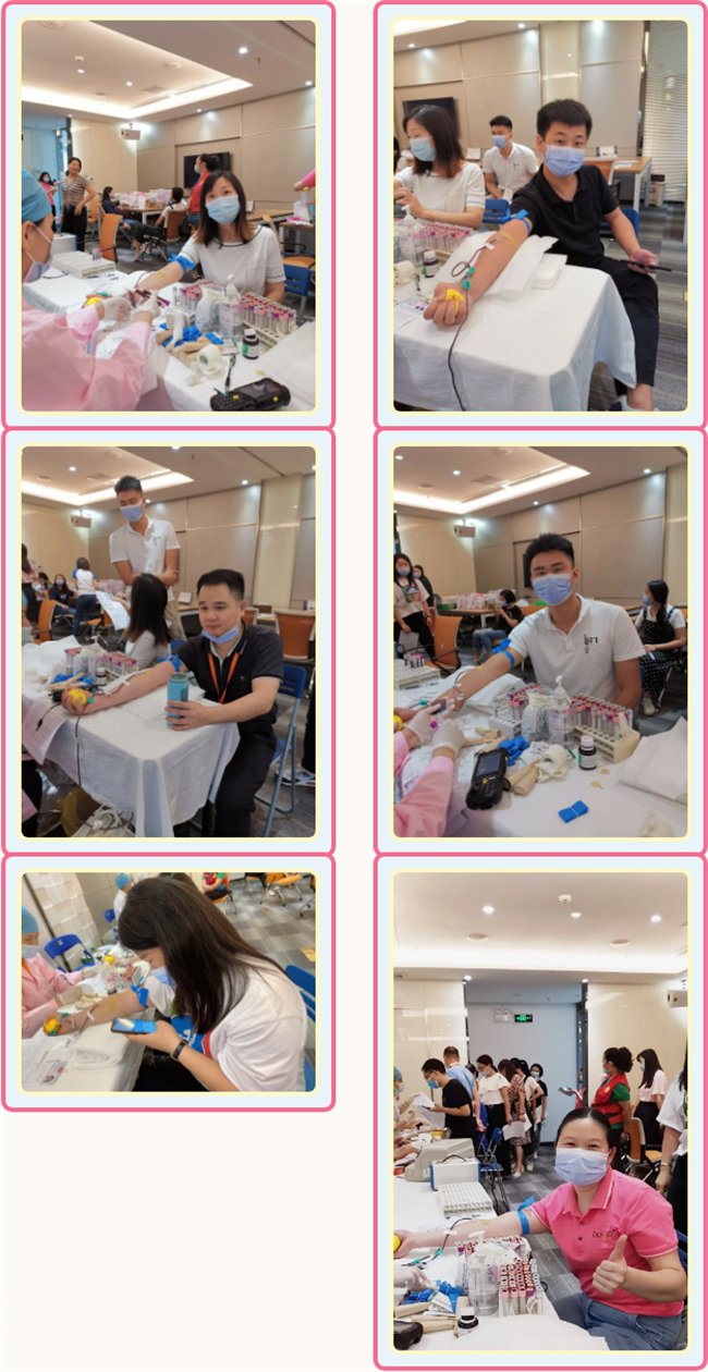 捐獻(xiàn)青春熱血，彩繪人生畫卷——廣東博皓總班委組織了一次“捐我熱血，呵護(hù)生命”的無償獻(xiàn)血公益活動    -3