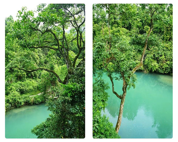多彩貴州，魅力天下，2021年廣東博皓快樂貴州行-29