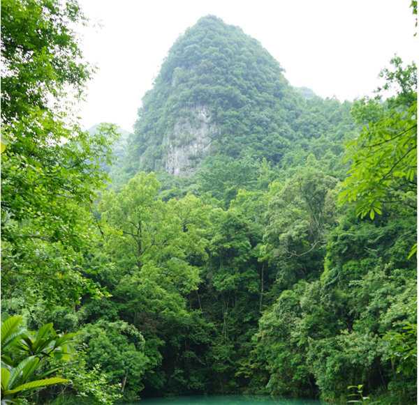 賞華夏大地，游多彩貴州-－2021年廣東博皓快樂行-2