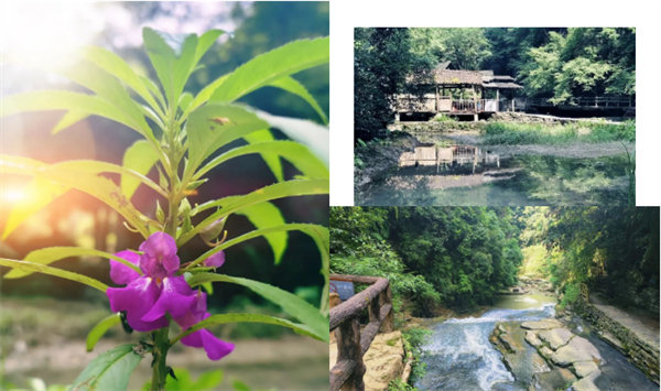 “湘”約鳳凰，相守未來——2022博皓快樂湖南行    -34
