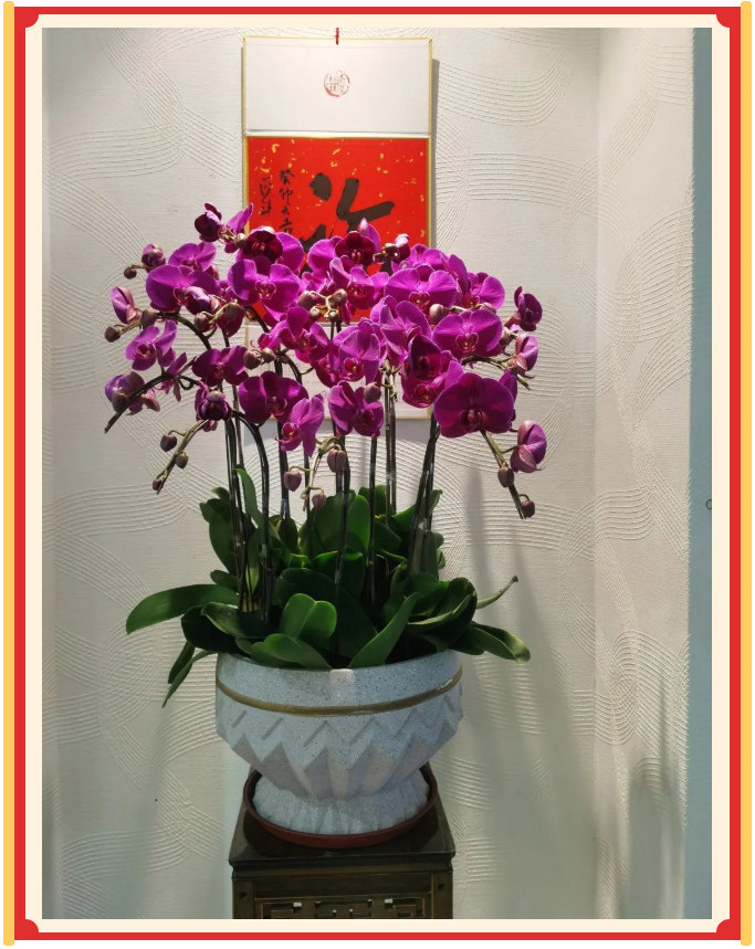 廣東博皓開工大吉丨金虎騰躍，兔來運轉(zhuǎn)           -23