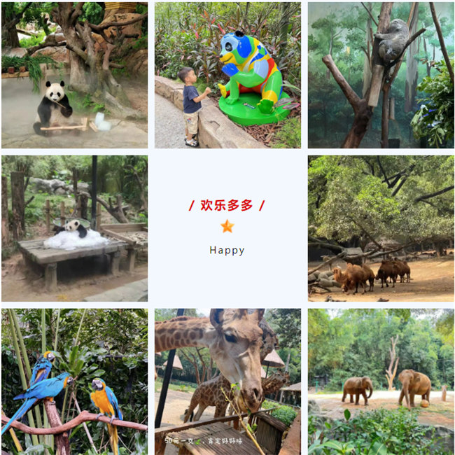 大手牽小手，快樂(lè)親子游！廣東博皓2023年親子游活動(dòng)        -8
