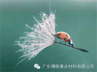 【博皓感悟】成功，要“借力”，不要“盡力”