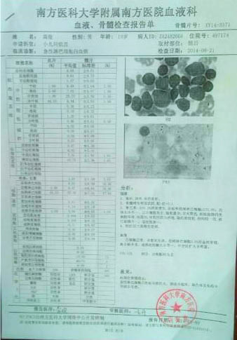 高俊的血液、骨髓檢查報(bào)告單