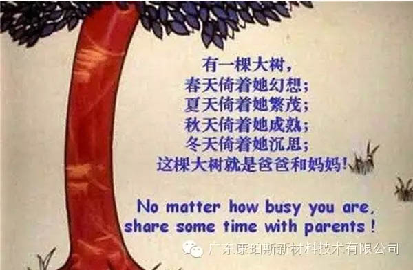 樹就是我們的父母！請愛護你們身邊的這棵樹！