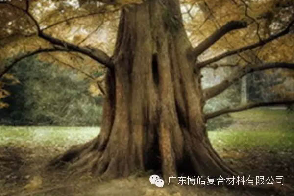 【博皓感悟】欲為大樹，莫與草爭(zhēng)-4