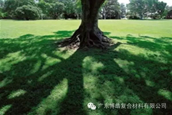【博皓感悟】欲為大樹，莫與草爭(zhēng)-6