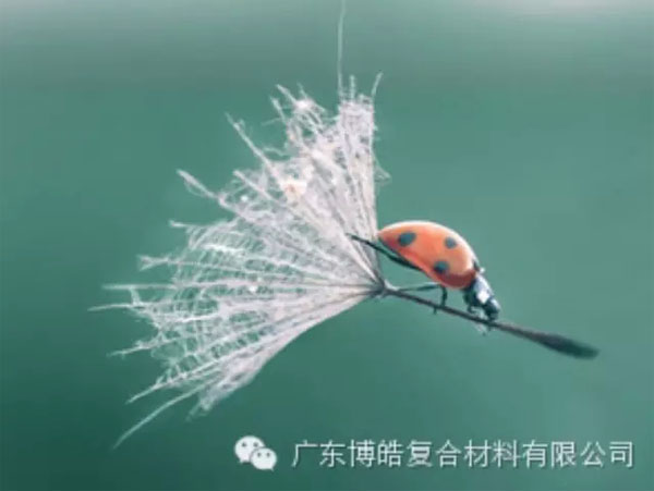 【博皓感悟】成功，要“借力”，不要“盡力”